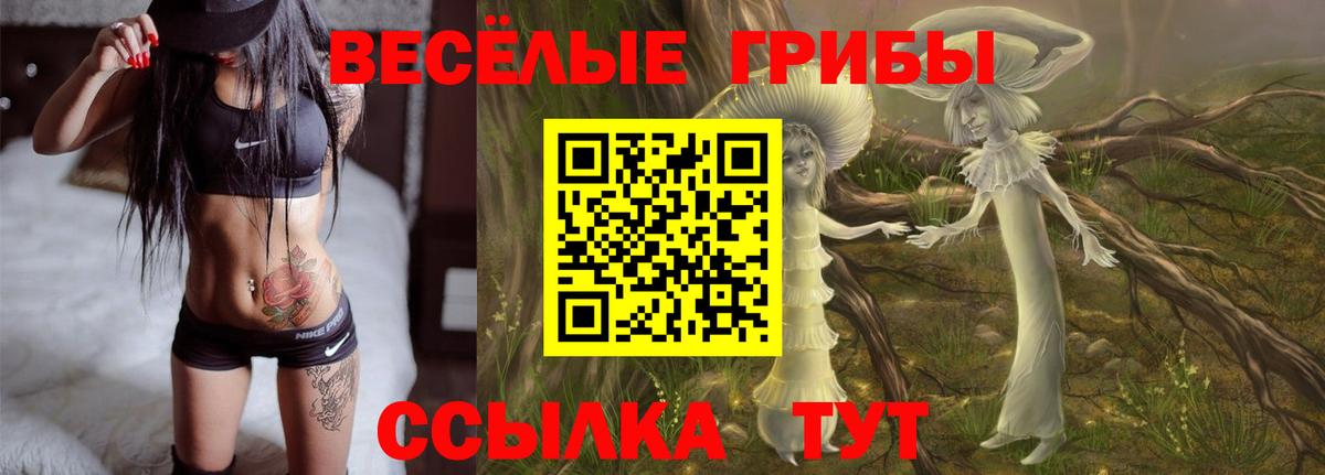 Галлюциногенные грибы GOLDEN TEACHER Лянтор